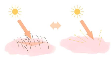 イラスト　産毛で反射阻害　イメージ